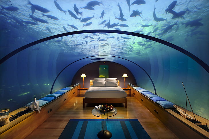 Best Hotels of 2015, vacation, fish, travel, bed, aquarium, HD wallpaper