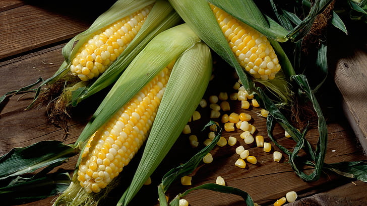 grain, corn, the cob, maize, HD wallpaper