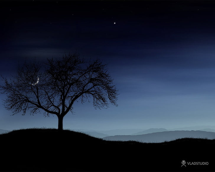 bare tree, landscape, sky, night, beauty in nature, scenics - nature