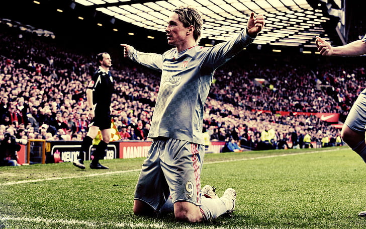 field, grass, joy, football, victory, sport, athletes, Fernando Torres