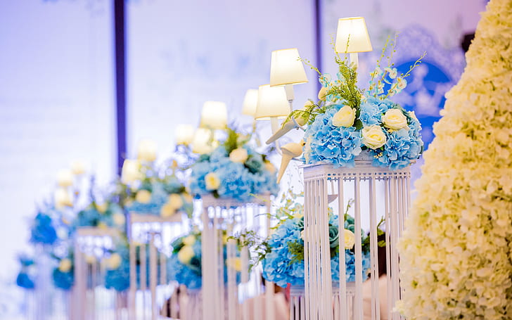 white, love, happiness, blue, lamp, hall, wedding, flowers, HD wallpaper