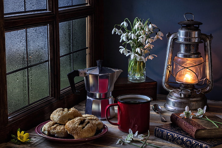 books, lamp, coffee, cookies, window, snowdrops, mug, still life