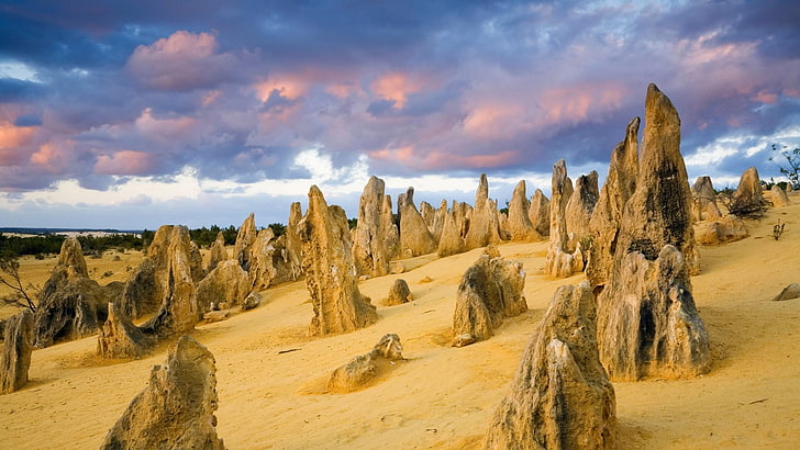 desert, Australia, National Park Nambung, Pinnacles