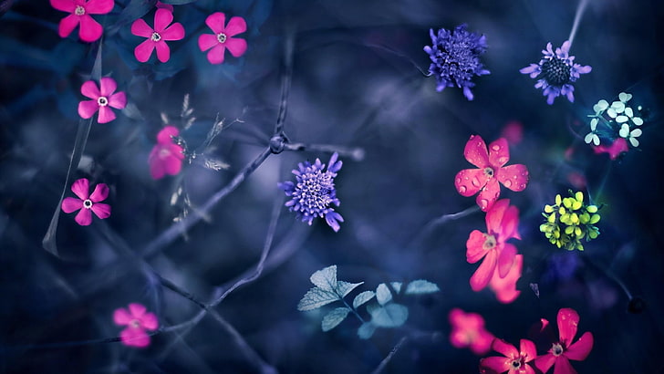 flower, spring, fantasy, twigs, bloomy, HD wallpaper