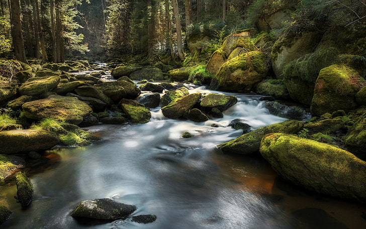 Höllfall The Upper Reaches Of The River Kamp In Lower Austria Waldviertel North Mountain River Riverbed Rocks Forest, HD wallpaper
