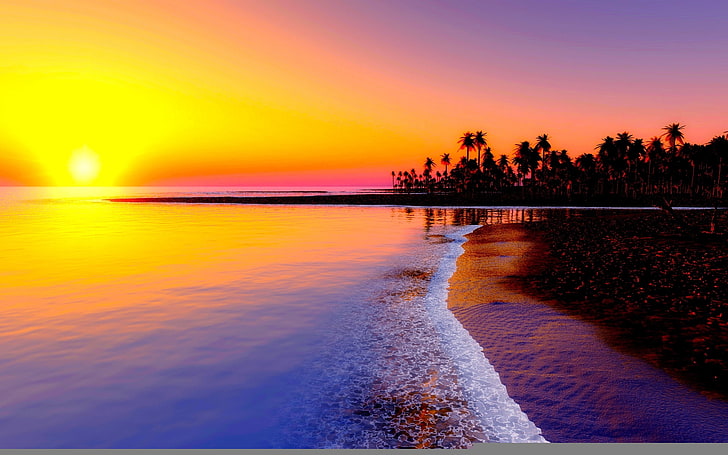 blue sea during sunset photography, beach, tropics, sand, palm trees
