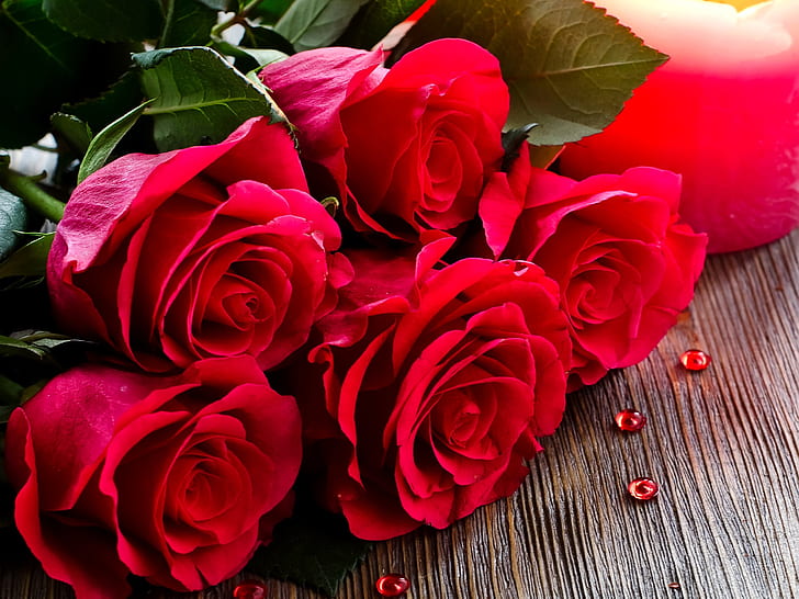 Bouquet, red roses, flowers close-up, five red roses, HD wallpaper