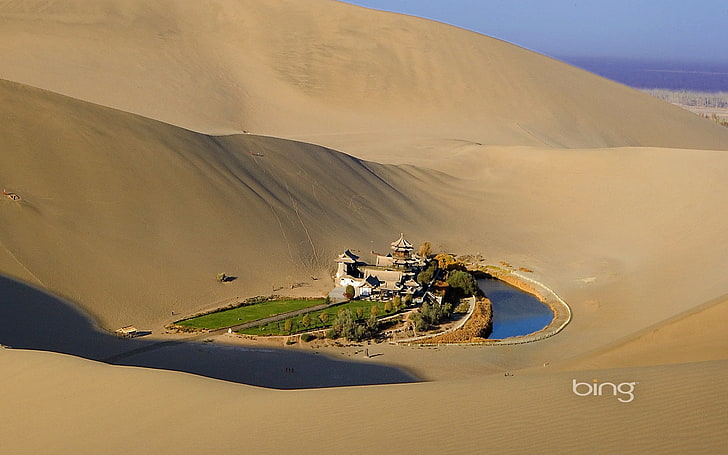 nature, dune, Bing, oasis, land, sand, desert, environment, HD wallpaper