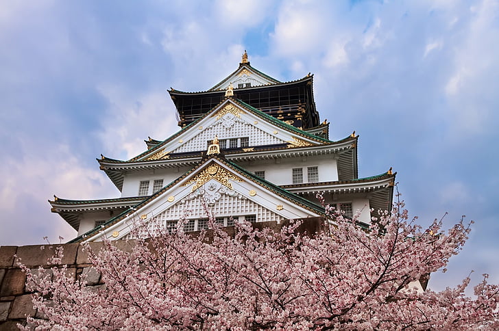 Castles, Osaka Castle, Cherry Blossom, Japan, Sakura, Spring