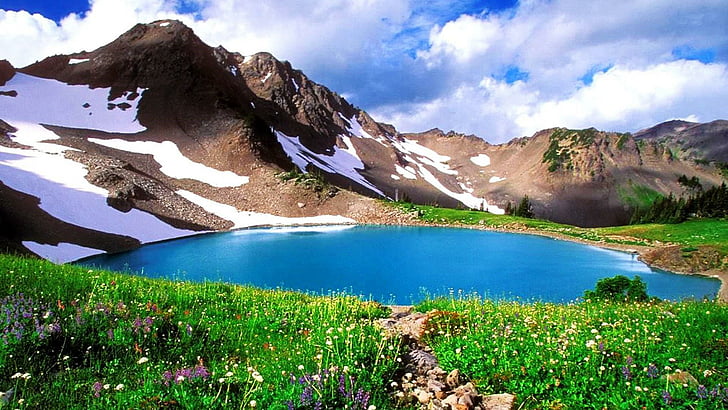 kalam, field, meadow, wildflowers, spring, mountain lake, glacier lake, HD wallpaper