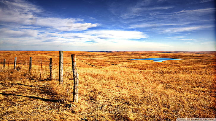 Pond On Flint Hill Kansas, fields, fence, nature and landscapes, HD wallpaper