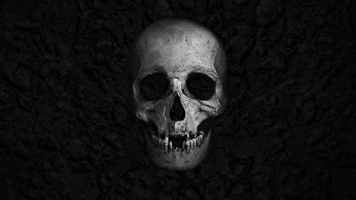 HD wallpaper: skull 4k beautiful image | Wallpaper Flare