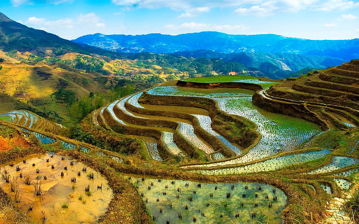 China, terraces, water, mountains, beautiful scenery, HD wallpaper