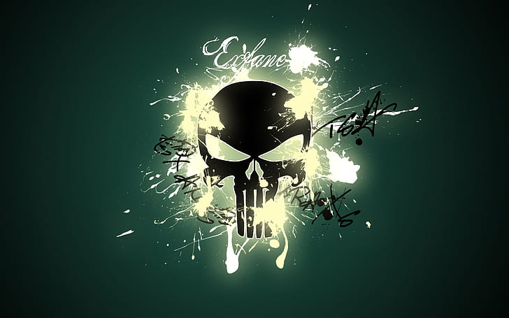 The Punisher, the punisher logo, action, crime, skull, colors