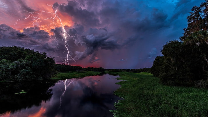 clouds, Florida, forest, grass, landscape, Lightning, nature, HD wallpaper