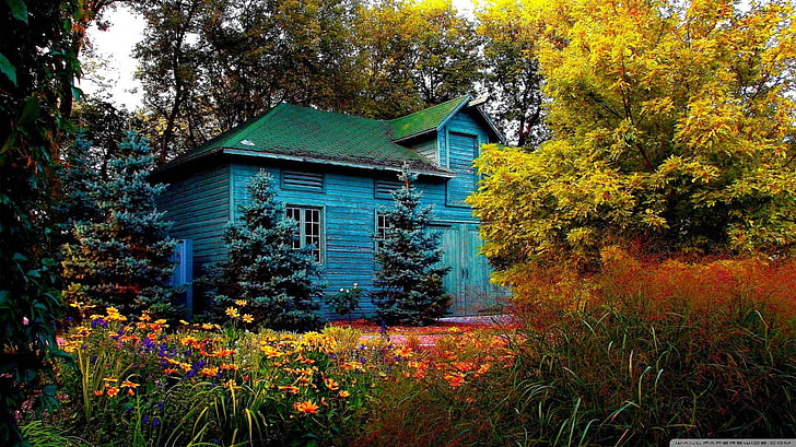 blue wooden house, trees, flowers, plant, architecture, built structure, HD wallpaper
