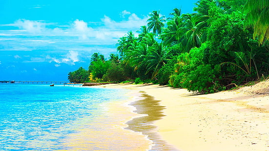HD wallpaper: Mirissa Beach South Coast Southern Province Sri Lanka ...