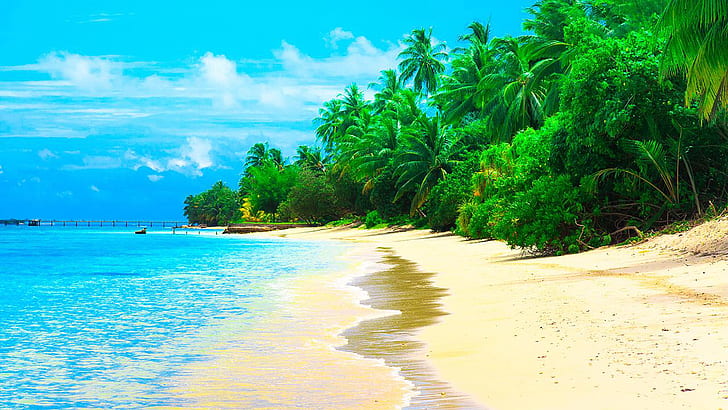 Maldives Summer Resort Sea Sandy Beach Coconut Trees Waves Desktop Wallpaper Hd 1920×1080, HD wallpaper