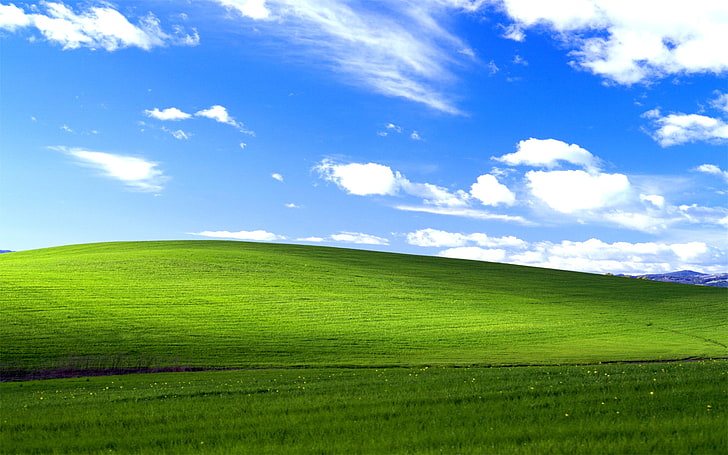 blue sky, Windows XP, Microsoft Windows, green, nature, landscape, HD wallpaper