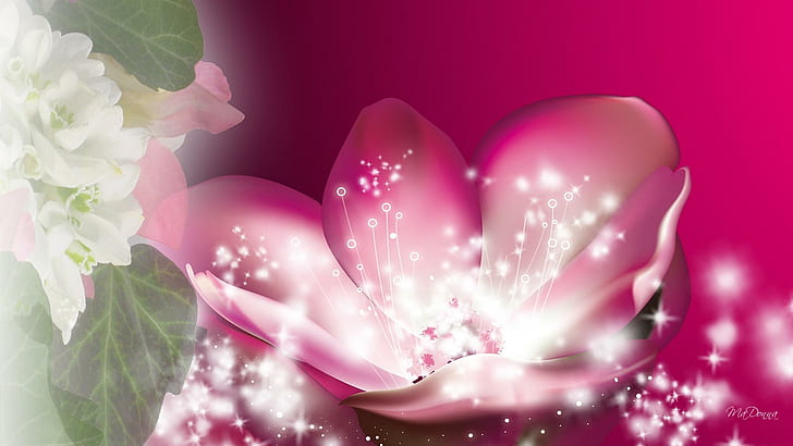 Magical Sparkle Flower, pink flower with light illustration, stars, HD wallpaper