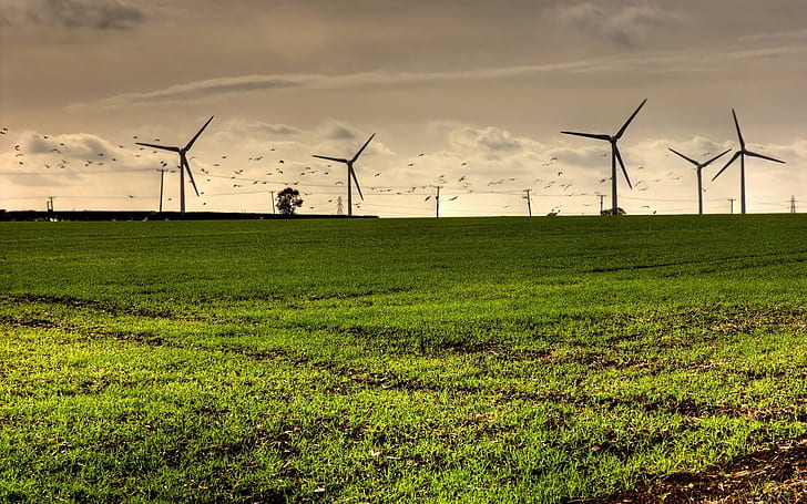 nature, landscape, grass, wind turbine, turbines, HD wallpaper