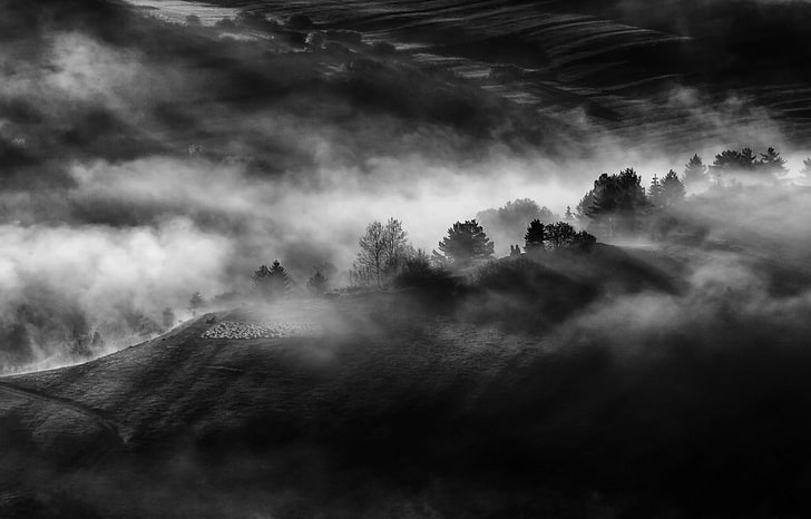 black and white fur area rug, nature, landscape, monochrome, mist