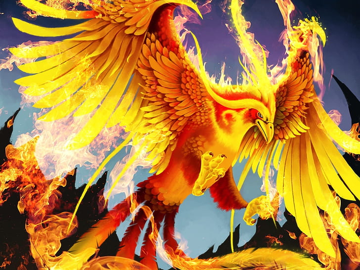 Art pictures, golden phoenix, bird, fire, wings