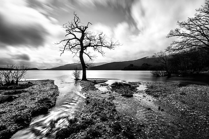 grayscale photography of black tree near body of water during daytime, lomond, scotland, lomond, scotland