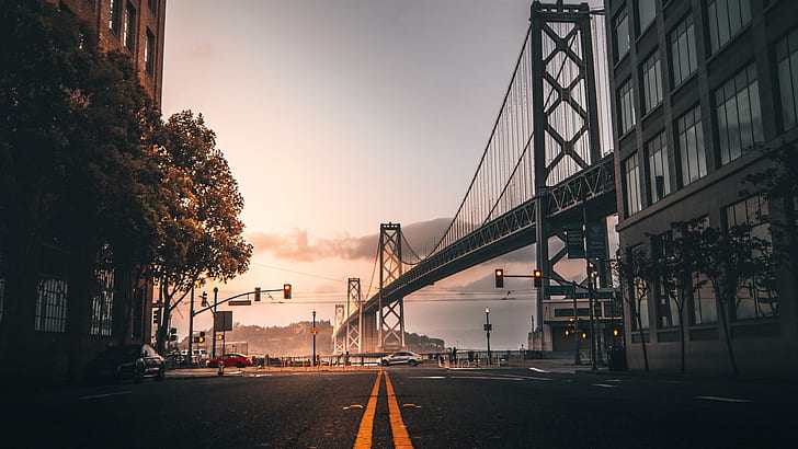 road, bridge, San Francisco, street, traffic lights, street light