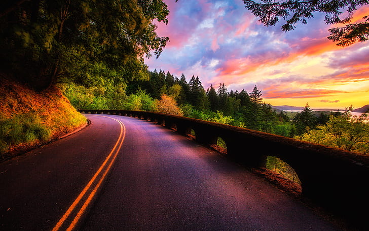 Beautiful sunset scenery, forest, trees, road, clouds colors