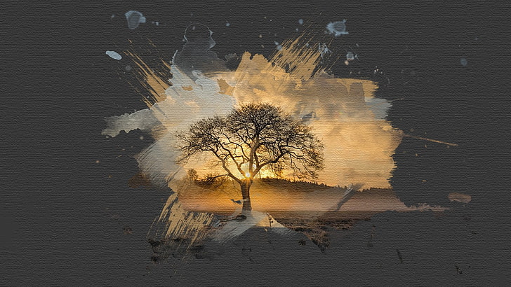 lone tree digital wallpaper, silhouette painting of tree at noontime