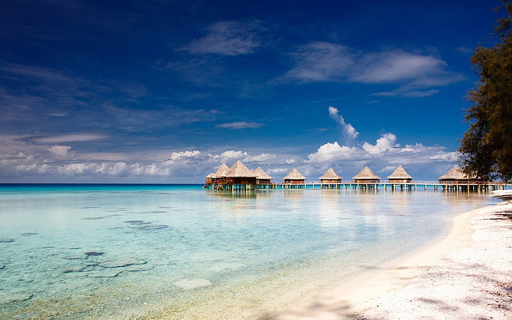 Maldives beach, atolls, island, French Polynesia, nature, landscape, HD wallpaper