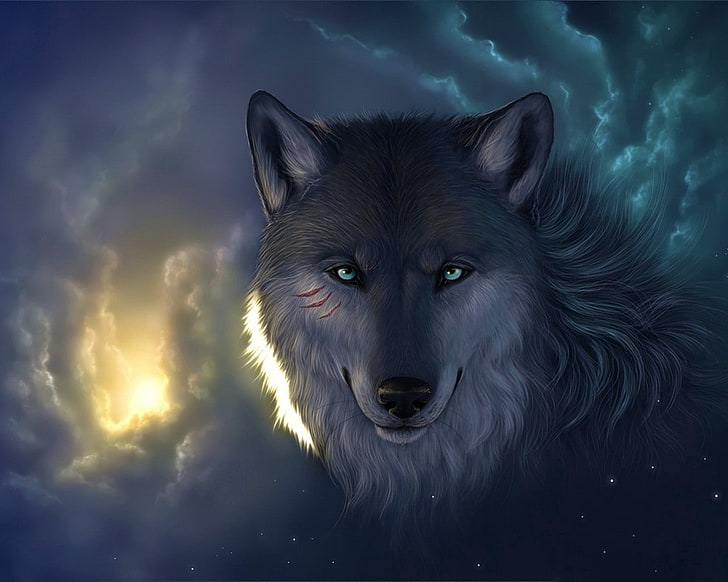 HD wallpaper: gray wolf illustration, look, face, stars, clouds, light,  cuts | Wallpaper Flare