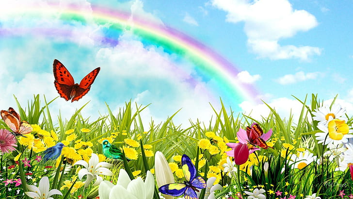 Rainbow Surprises, flowers, spring, birds, field, butterflies, HD wallpaper
