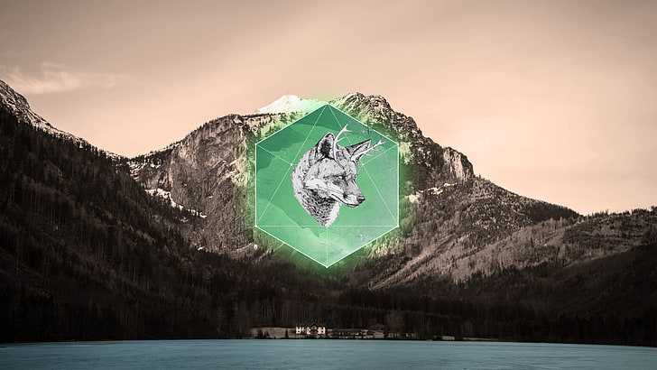 gray wolf logo, fox, animals, landscape, polyscape, water, mountain