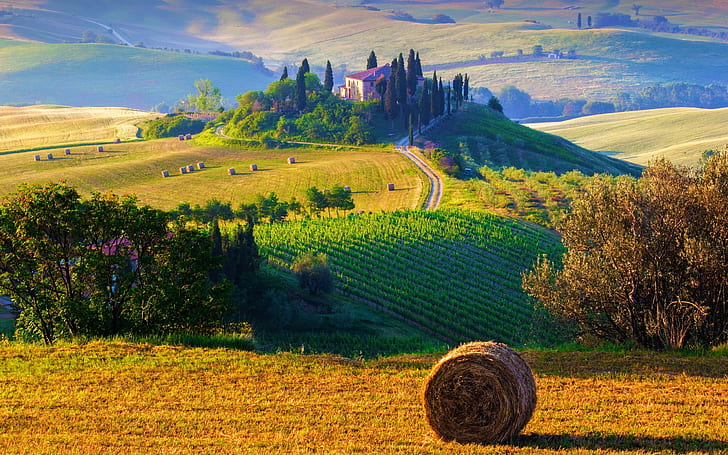 Italy, Tuscany, nature landscape, fields, haystacks, farms, sunrise, morning, brown hay stock and hay field