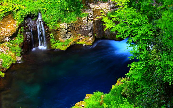 River Forest Waterfall Lake Blue Water Rocky Coast With Green Moss Grass Forest Trees Green Leaves Nature Wallpaper Hd 1920×1200