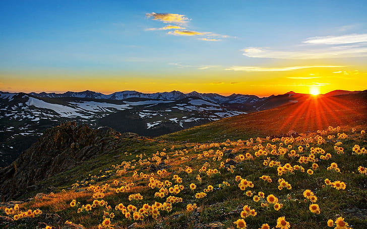 Sunset Sun Rays Landscape Stone Peaks Mountain Meadow With Yellow Flowers Beautiful Spring Landscape Colorado Usa 1920×1200, HD wallpaper