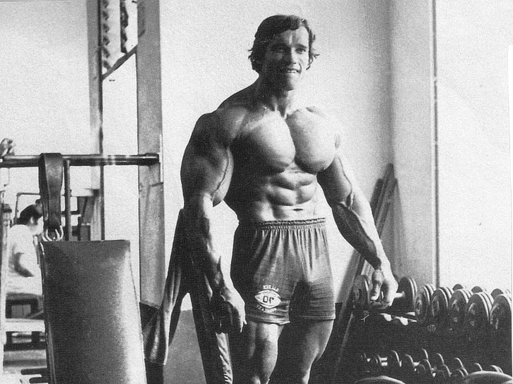 Arnold Schwarzenegger, bodybuilding, Bodybuilder, working out, HD wallpaper
