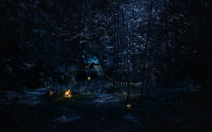 house in forest at night wallpaper, cabin, campfire, tree, nature