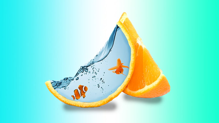 photo manipulation, orange (fruit), fish, studio shot, food and drink