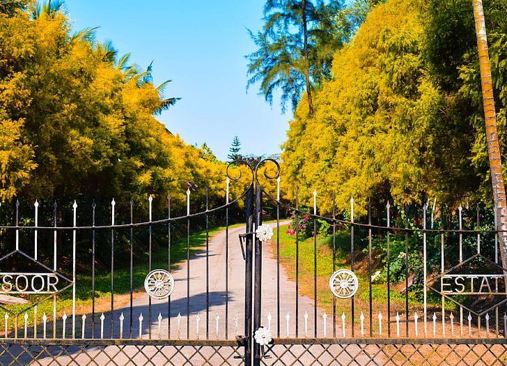 door, estate, farm, gate, gateway, golden yellow, green, path, HD wallpaper
