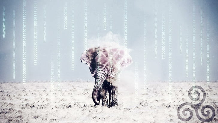 Elephants, Triskel, Desert, The Matrix, Wireframes, Animals, grey elephant, HD wallpaper