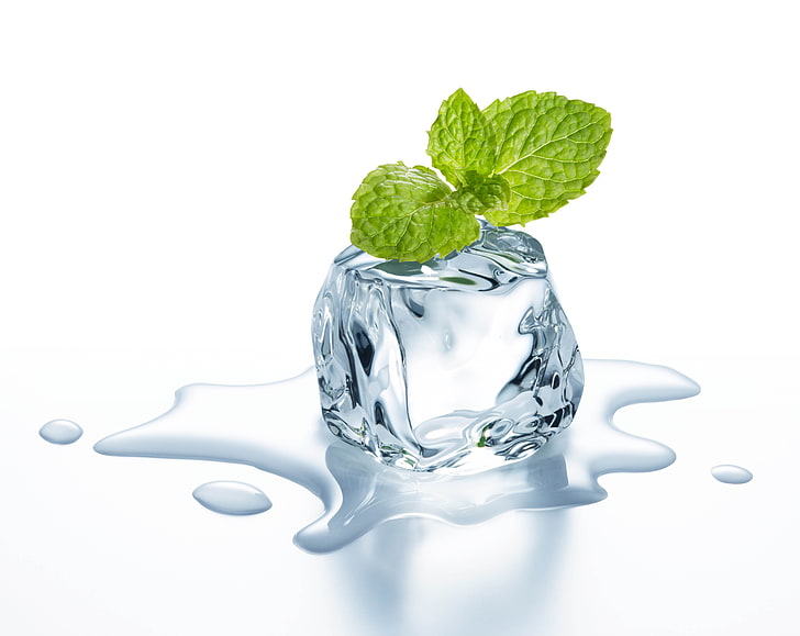 melting ice illustration, cube, mint leaves, water, white background
