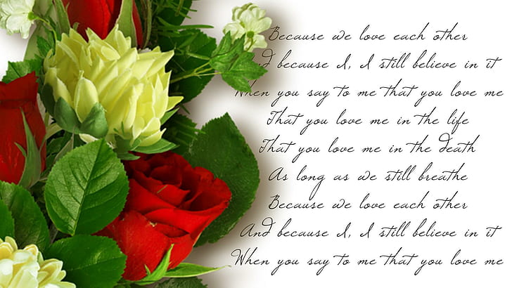 Because We Love, red rose and yellow petaled flower, poetry, roses, HD wallpaper