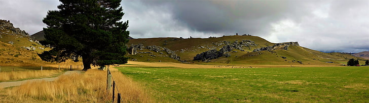 green grass field, New Zealand, Mt Cook, landscape, cloud - sky, HD wallpaper