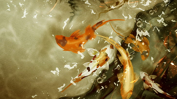 Koi Fish Fish Drawing HD, digital/artwork, HD wallpaper