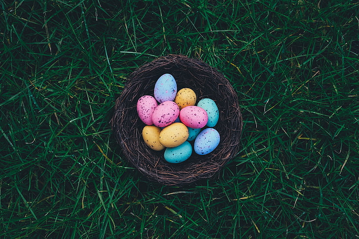 baskets, eggs, grass, Easter, easter eggs, nests, celebration, HD wallpaper