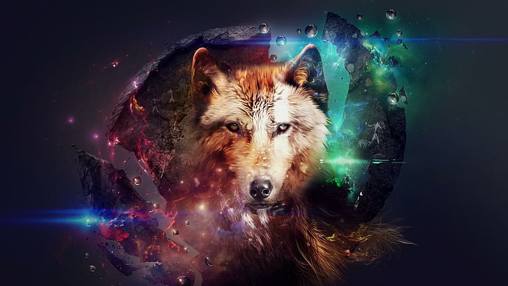 magic, fantasy art, abstract, wolf, artwork, darkness, special effects, HD wallpaper