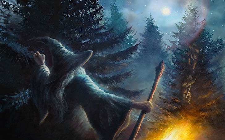 forest, trees, fire, the moon, fantasy, dwarves, staff, the wizard, HD wallpaper